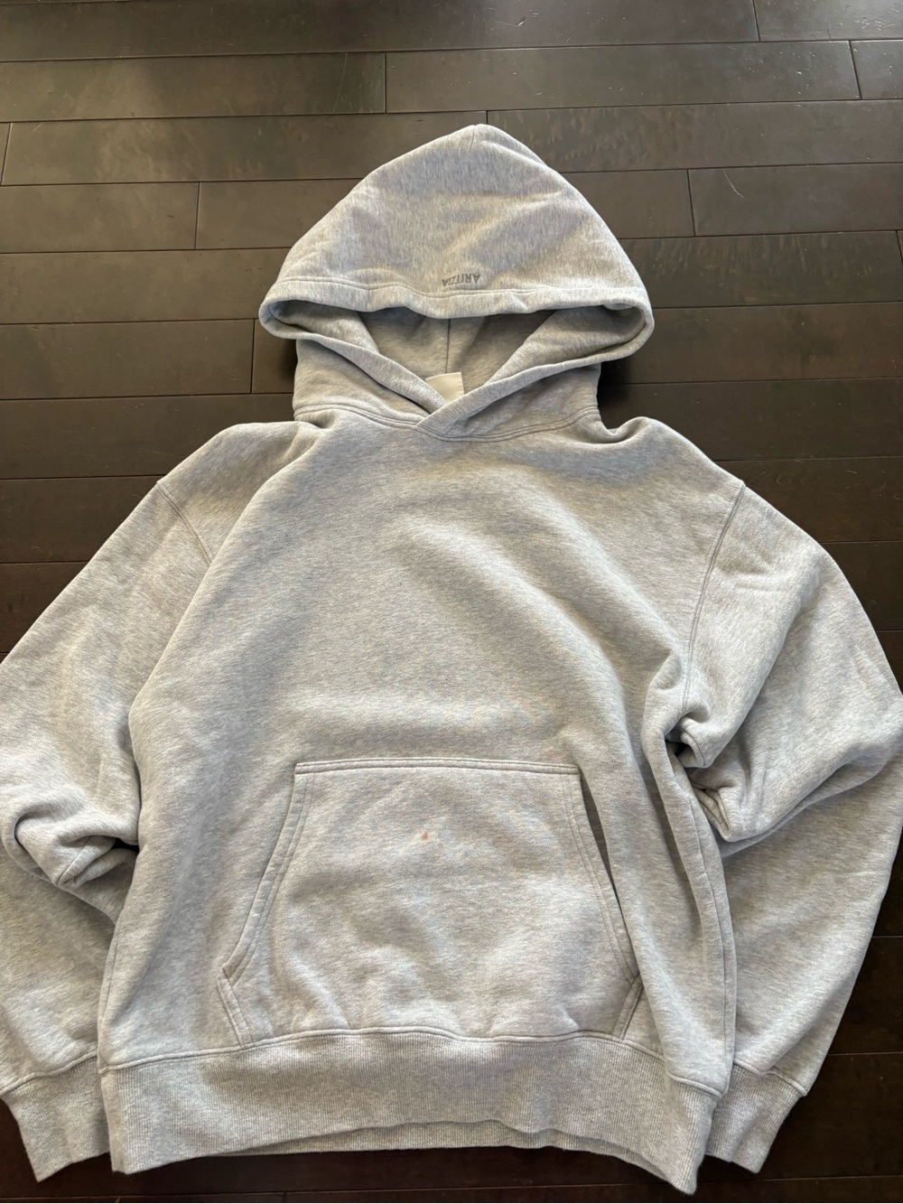 Aritzia hoodie